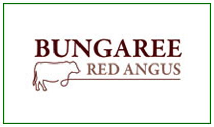 Bungaree Red Angus