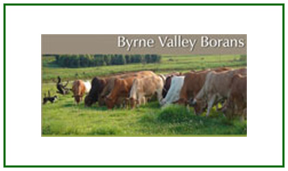 Byrne Valley Borans