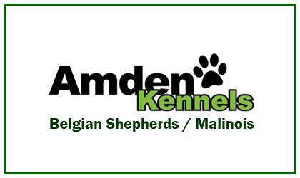 Amden Kennels