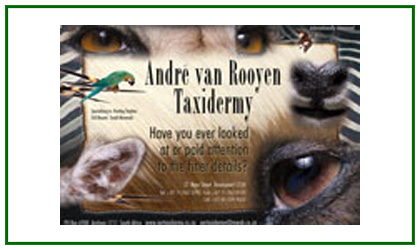 ANDRE VAN ROOYEN TAXIDERMY CC