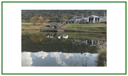 Emahlathini Guest Farm