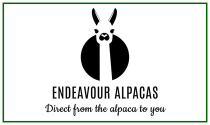 ENDEAVOUR ALPACAS