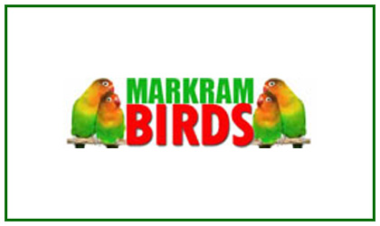 Markram Birds