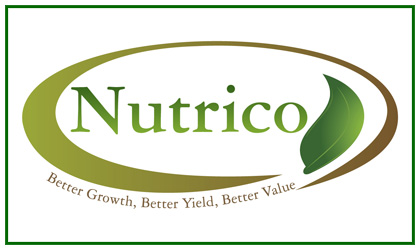 Nutrico