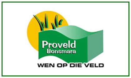 Proveld Bonsmara