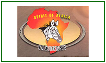 Spirit of Africa