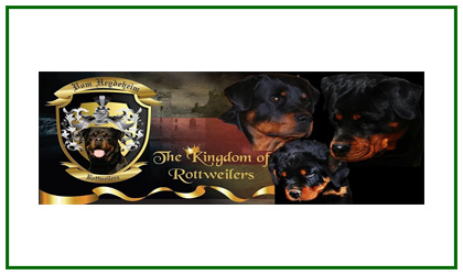 Vom Heydeheim Rottweilers